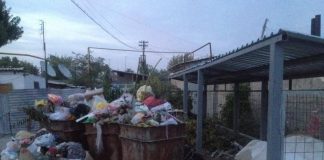 В Шымкенте мусорные контейнеры поставили под забор дома Мусорка у дома