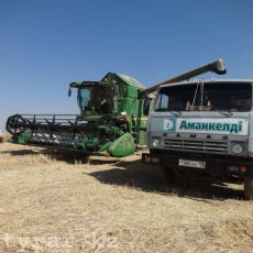 Рост экспорта подтверждает стабильный спрос на казахстанское зерно уборка зерновых