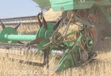 Шымкент собирает рекордный урожай с полей