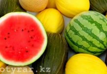 Безопасно ли употребление бахчевых культур в июне Дыни и арбузы