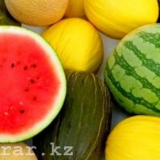 Любите ли вы эту ягоду, так как люблю ее я? Дыни и арбузы