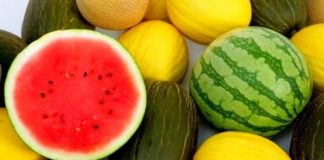 Как провезти в самолете дыню и арбуз Дыни и арбузы