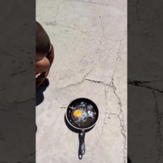 На шымкентском солнце можно поджарить яйца На шымкентском солнце можно поджарить яйца
