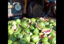 Сотни арбузов рассыпались на Ташкентской трассе в результате ДТП