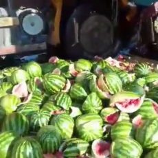 Сотни арбузов рассыпались на Ташкентской трассе в результате ДТП