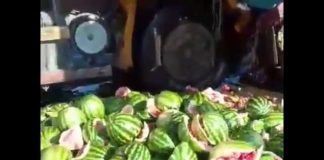 Сотни арбузов рассыпались на Ташкентской трассе в результате ДТП