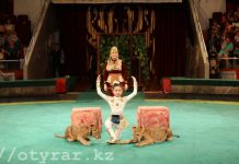 Клоуны, акробаты и дрессированные звери шымкентского «Оңтүстік-Цирка» впервые в истории казахстанского цирка показали «Томирис» «Оңтүстік-Цирк» впервые в истории казахстанского цирка поставил постановку «Томирис»