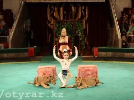 «Оңтүстік-Цирк» впервые в истории казахстанского цирка поставил постановку «Томирис»