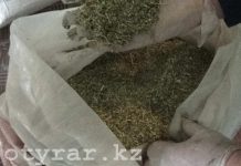 Полицейские Туркестанской области изъяли около 6 тонн наркотиков Полицейские изъяли у жителей ЮКО крупную партию марихуаны