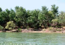 ЮКО необходимы еще пять водохранилищ и дамба на Сырдарье Сырдарье требуется дамба