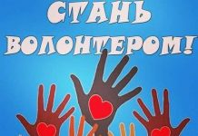2020 год объявлен годом волонтера Фонд помощи животным ищет волонтеров