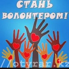 2020 год объявлен годом волонтера Фонд помощи животным ищет волонтеров