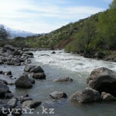 В ЮКО начались начальные этапы работ по получению чистой воды из реки Угам В ЮКО начались начальные этапы работ по получению чистой воды из реки Угам
