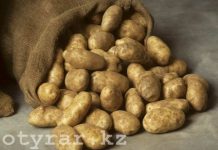 В Шымкенте самые дешевые хлеб и картошка, но самый дорогой сахар в стране Картошка в Шымкенте