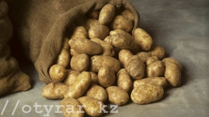 Картошка в Шымкенте