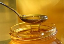 В Шымкенте 13 августа пройдет VII областной фестиваль «Медовый спас-2017» медовый спас