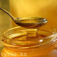 В Шымкенте пройдет сладкая ярмарка медовый спас