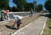 Наказывать за привлечение учителей к субботникам предложили в Казахстане Субботник