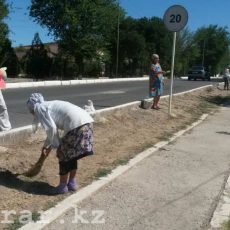 Наказывать за привлечение учителей к субботникам предложили в Казахстане Субботник
