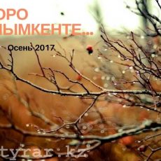 Сильный ветер и грозу в ЮКО обещают синоптики 11 сентября Скоро в Шымкенте осень