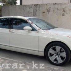 В ЮКО по факту стрельбы на свадьбе возбуждено уголовное дело В ЮКО по факту стрельбы на свадьбе возбуждено уголовное дело