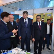 В Астане проходит выставка южноказахстанских товаропроизводителей В Астане проходит выставка южноказахстанских товаропроизводителей «Оңтүстік өнімдері»