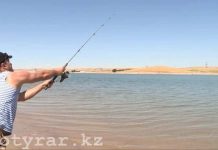 В Туркестанской области введён запрет на рыболовство