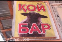 В Шымкенте открылся еще один убойный цех Убойный цех