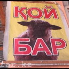 В Шымкенте открылся еще один убойный цех Убойный цех