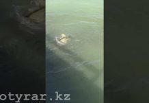 Озеро Тулпар в Шымкенте кишит рыбой внушительных размеров (видео)