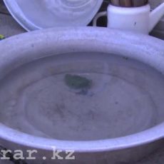 Жители Кайнар булака вот уже год живут без питьевой воды Жители Кайнар булака вот уже год живут без питьевой воды