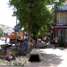 По улице Туркестанской вырубили молодые зеленые деревья На улице Туркестанской срубили зеленые деревья