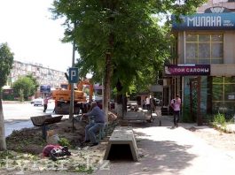На улице Туркестанской срубили зеленые деревья