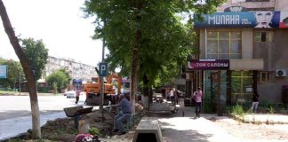 По улице Туркестанской вырубили молодые зеленые деревья На улице Туркестанской срубили зеленые деревья