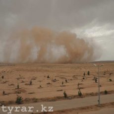Какую погоду принесет в Шымкент прошедшая пыльная буря? Пыльная буря