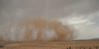 Пыльная буря и усиление ветра ожидаются завтра в Туркестанской области Пыльная буря