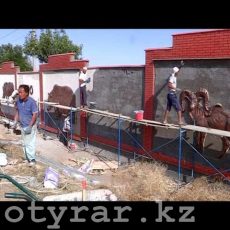 Зоопарк Шымкента окружили пятиметровым забором