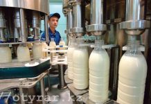 В Сайрамском районе ЮКО произведено более 700 тонн молочной продукции В Сайрамском районе ЮКО произведено более 700 тонн молочной продукции