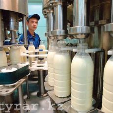В Сайрамском районе ЮКО произведено более 700 тонн молочной продукции В Сайрамском районе ЮКО произведено более 700 тонн молочной продукции