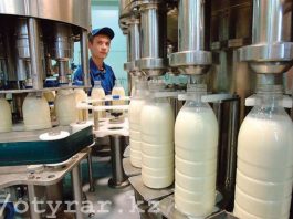 В Сайрамском районе ЮКО произведено более 700 тонн молочной продукции