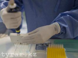 Минздрав предупредил казахстанцев об опасных вирусах за границей