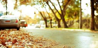 Аллергия на осень Осень в городе