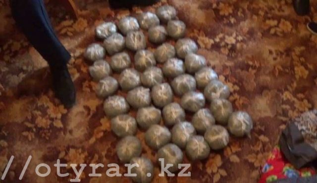 Более 3,5 килограммов марихуаны изъяли полицейские Шымкента у местного жителя