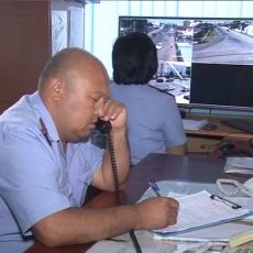 В ЮКО ликвидированна преступная группа, промышлявшая скотокрадством и кражами запчастей В ЮКО полицейские ликвидировали преступную группу, промышлявшую скотокрадством и кражами запчастей