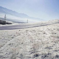 24 февраля в Туркестанской области будет снег, а в Шымкенте пойдет дождь Снег в ЮКО