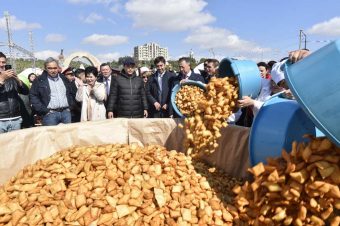 Бауырсаки жарили в Шымкенте