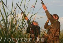 В РК осенне-зимний охотничий сезон открылся 1 сентября Осенне-зимний охотничий сезон стартовал в Казахстане