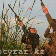 Охотникам запретят использовать приборы ночного видения Осенне-зимний охотничий сезон стартовал в Казахстане