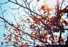 Прогноз погоды на 4 декабря Осень в городе