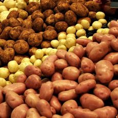 В Казахстане может подорожать картофель до 250-300 тенге В Казахстане может подорожать картофель до 250-300 тенге